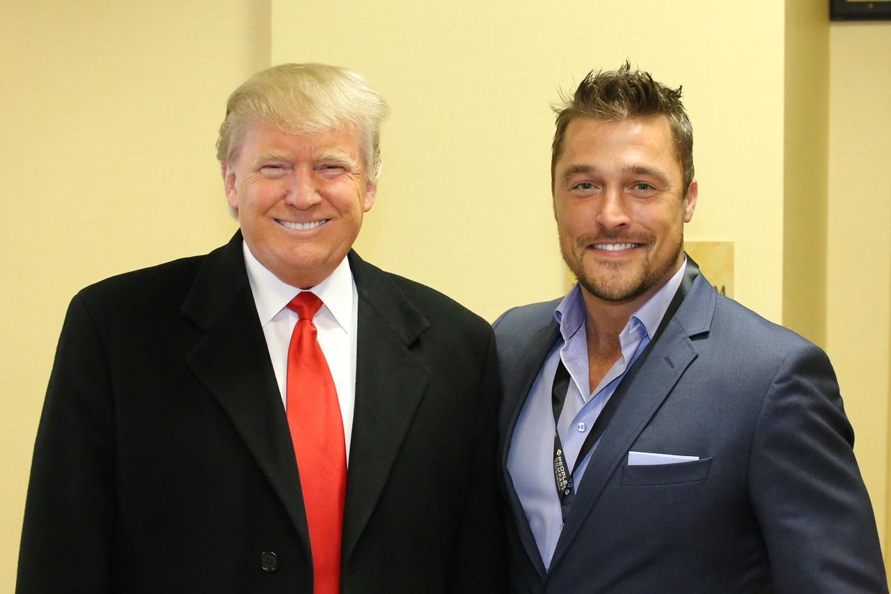 站群系统二级目录与二级域名选择，哪个对排名更有利